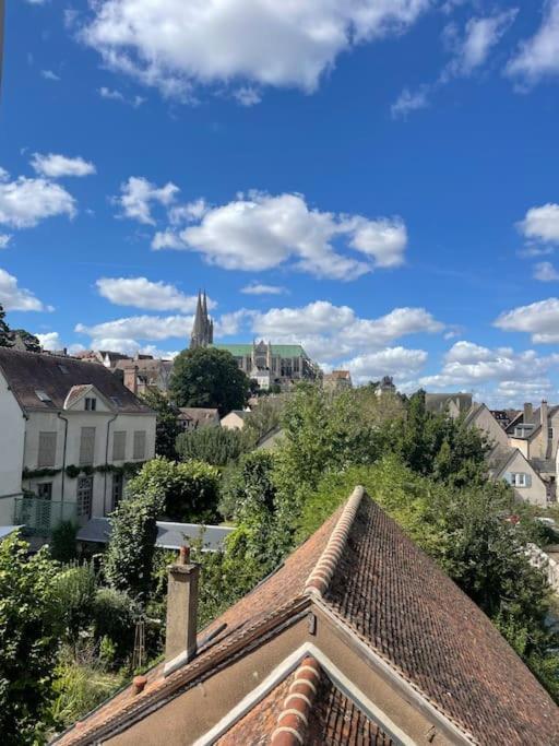 Апартаменти Duplex Bord De L'Eure - Parking Inclus - Jolie Vue Sur La Cathedrale Шартр Екстер'єр фото